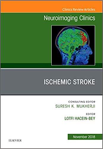Ischemic Stroke Neuroimaging Clinics of North America