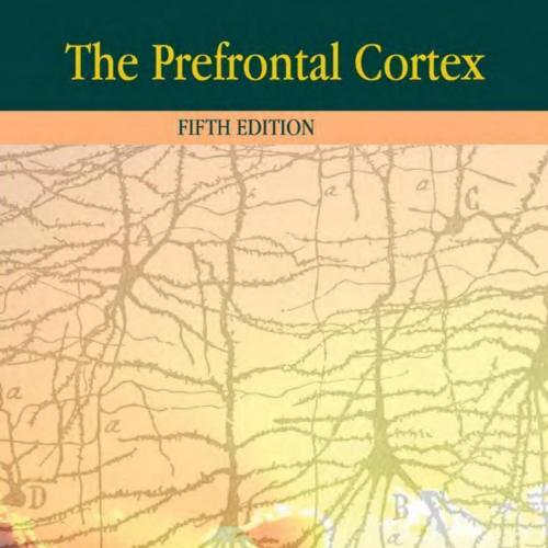 Prefrontal Cortex 5th Edition, The - Joaquin Fuster