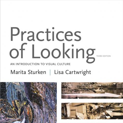 Practices of Looking_ An Introduction to Visual Culture