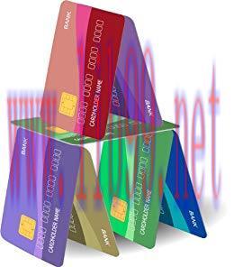 (PDF)Credit Cruncher