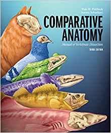 Comparative Anatomy Manual of Vertebrate Dissection, 3rd Edition [Fishbeck]