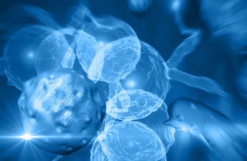 [AME]9th Annual Hematology and Medical Oncology Board Review: Contemporary Practice 2021 (CME V...