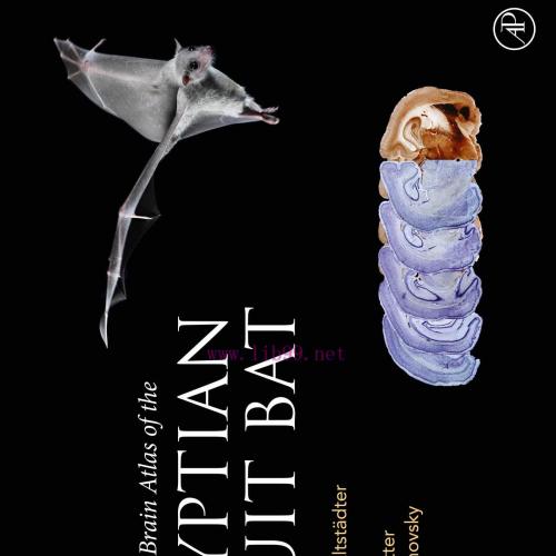 [AME]Stereotaxic Brain Atlas of the Egyptian Fruit Bat (EPUB)