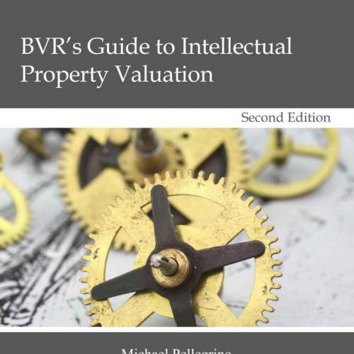 BVR's Guide to Intellectual Property Valuation, 2nd Edition