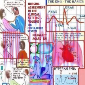 [AME]Nursing Assessment in the Clinical Setting &ndash; Volume 1 &ndash; The Circulatory System (EPUB)