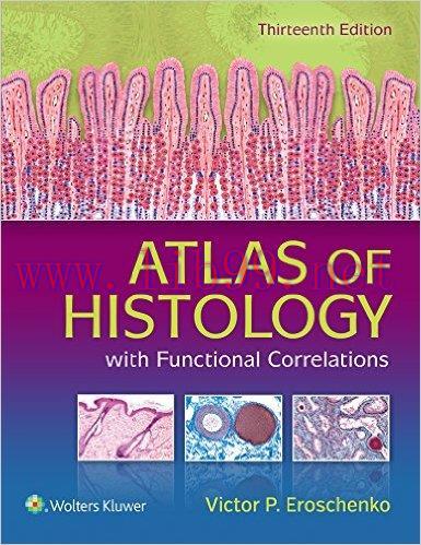 [AME]Atlas of Histology with Functional Correlations, 13th Edition (EPUB)