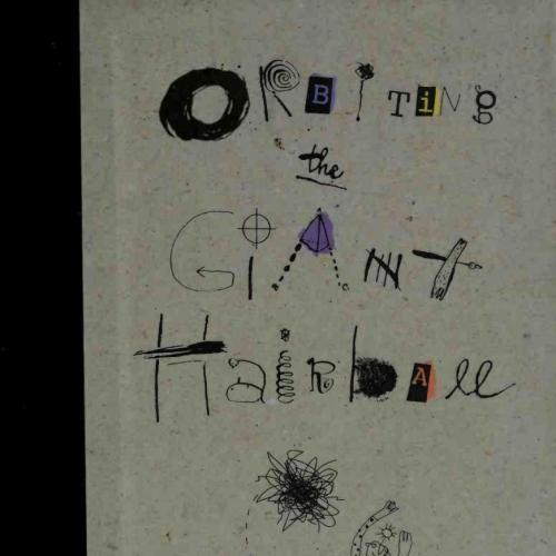 Orbiting the giant hairball _ a corporate fool's guide to surviving with grace