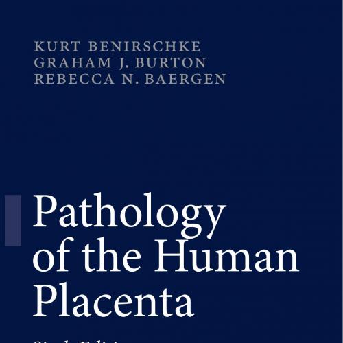 Pathology of the Human Placenta 6th Edition