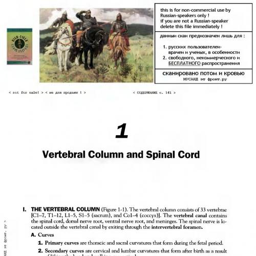 High Yield Gross Anatomy-2nd edition