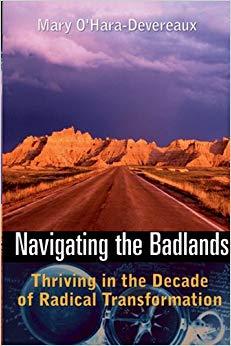 (PDF)Navigating the Badlands Thriving in the Decade of Radical Transformation 1st Edition