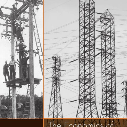 Economics of Electricity Markets, The
