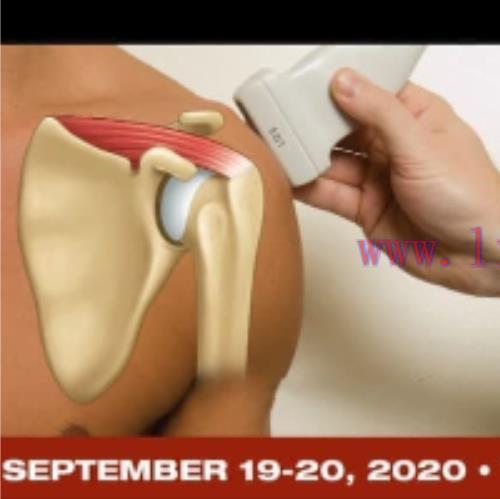 [AME]Fundamentals of Musculoskeletal Ultrasound 2020 (CME VIDEOS)