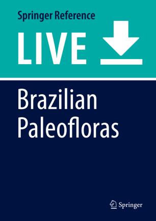 Brazilian Paleofloras