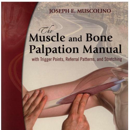 Muscle And Bone Palpation Manual