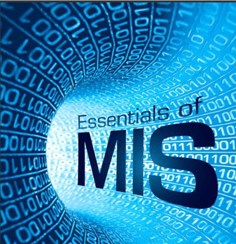 (Solution Manual)Essentials of MIS (11th Edition).zip