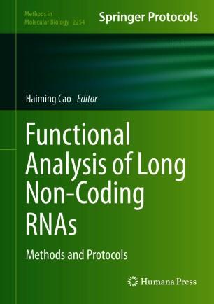 Functional Analysis of Long Non-Coding RNAs