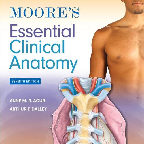 [AME]Moore&rsquo;s Essential Clinical Anatomy, 7th edition (Original PDF)