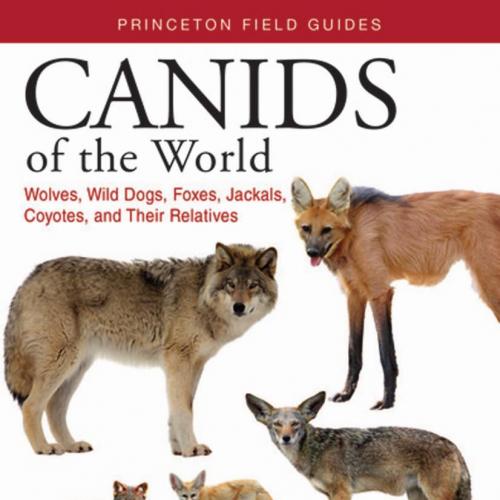 Canids of the World Wolves Wild Dogs Foxes Jackals Coyotes - Castello, Jose R.; Sillero-Zubiri,...