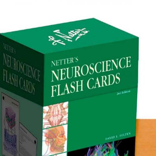 Netter's Neuroscience Flash Cards, 2nd Edition