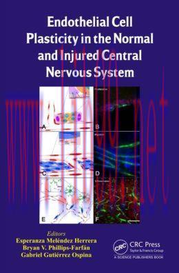 [AME]Endothelial Cell Plasticity in the Normal and Injured Central Nervous System