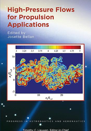 High-Pressure Flows for Propulsion Applications