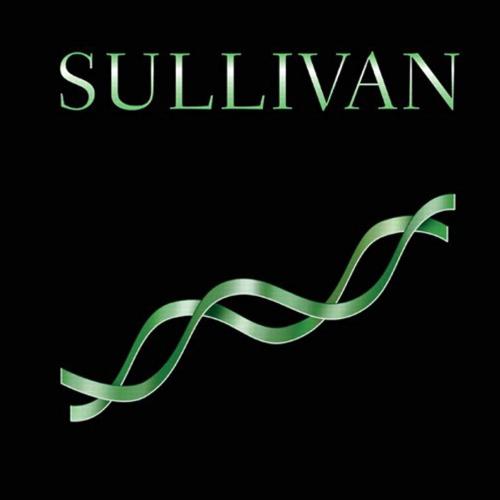 Trigonometry A Unit Circle Approach 10th Edition by Michael Sullivan