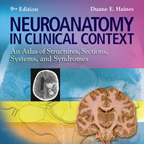 Neuroanatomy in Clinical Context_ An Atlas of Structures, Sections, Systems, and Syndromes, 9th...