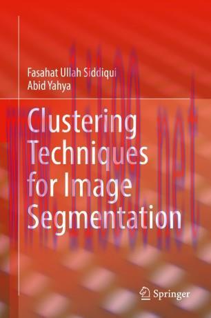 Clustering Techniques for Image Segmentation