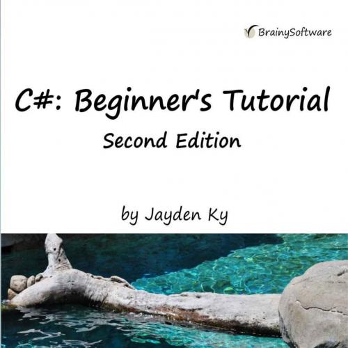 C- A Beginner's Tutorial, Second Edition