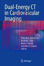[PDF]Dual-Energy CT in Cardiovascular Imaging
