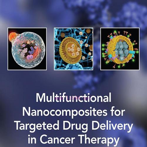 [AME]Multifunctional Nanocomposites for Targeted Drug Delivery in Cancer Therapy (Original PDF)
