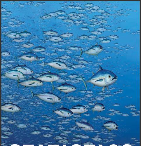 (Test Bank)Statistics Concepts and Controversies 9th Edition David S. Moore.zip