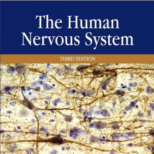 Human Nervous System, 3rd Edition, The