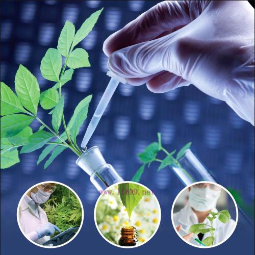 [AME]Tailor-Made Polysaccharides in Biomedical Applications (EPUB)