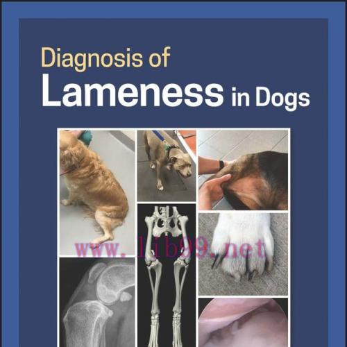[AME]Diagnosis of Lameness in Dogs (EPUB)