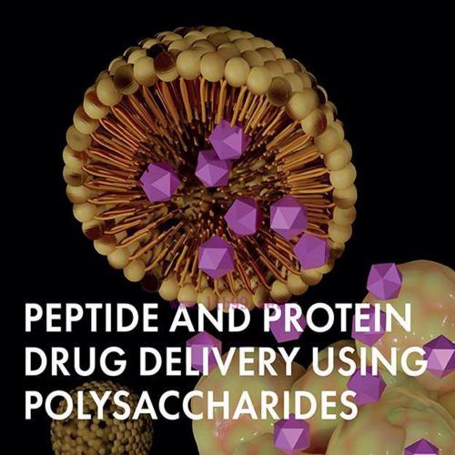 [AME]Peptide and Protein Drug Delivery Using Polysaccharides (EPUB)