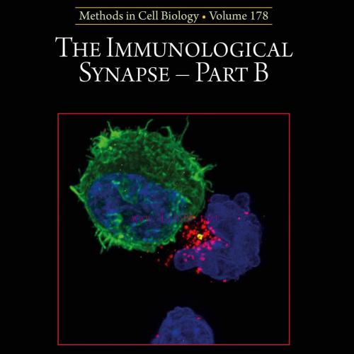 [AME]The Immunological Synapse - Part B, Volume 178 (EPUB)