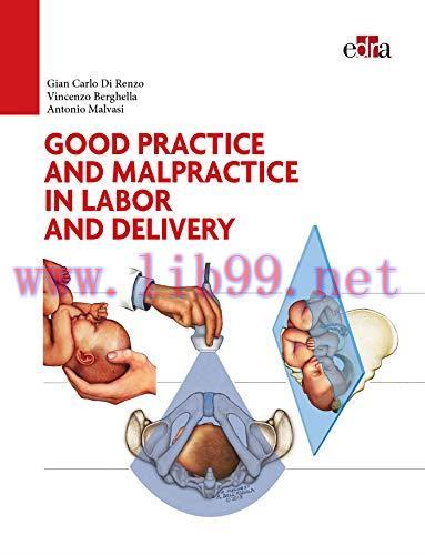 [AME]Good Practice and malpractice in labor and delivery (ePub)