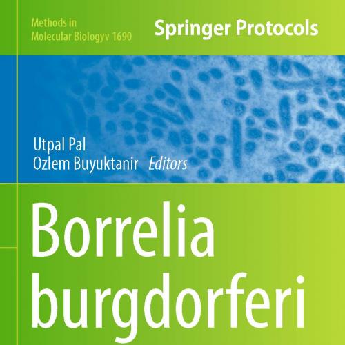 Borrelia burgdorferi