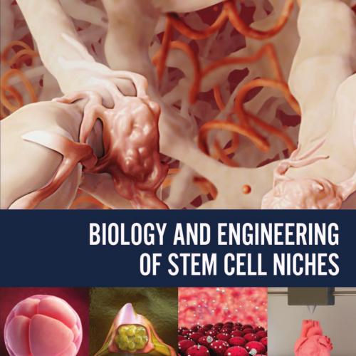 Biology and Engineering of Stem Cell Niches - Ajaykumar Vishwakarma & Jeffrey M. Karp