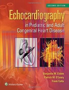 [AME]Echocardiography in Pediatric and Adult Congenital Heart Disease, 2nd Edition (Original PD...