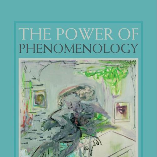 Power of Phenomenology, The - Robert D. Stolorow,George E. Atwood