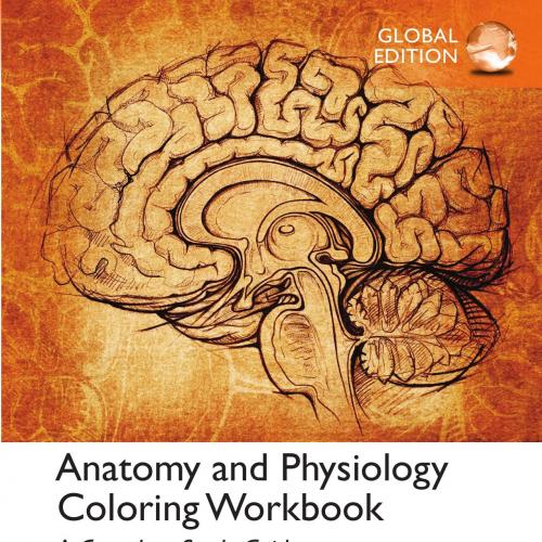 Anatomy and Physiology Coloring Workbook A Complete Study Guide,11th Global Edition - Elaine N....