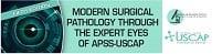 [AME]Modern Surgical Pathology Through the Expert Eyes of APSS-USCAP 2024, 5th Edition (Videos)