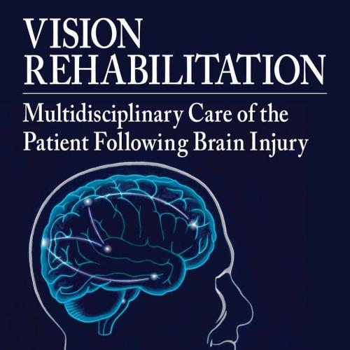 Vision Rehabilitation