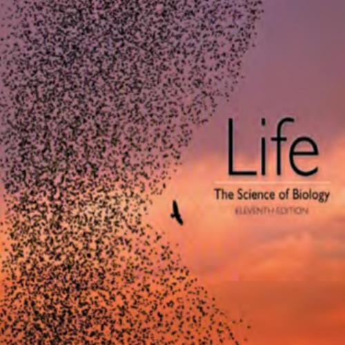 Life The Science of Biology 11th