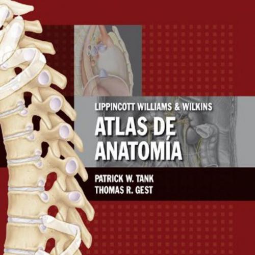 LWW Atlas de Anatomia (Spanish Edition) - Patrick W. Tank & Thomas R. Gest