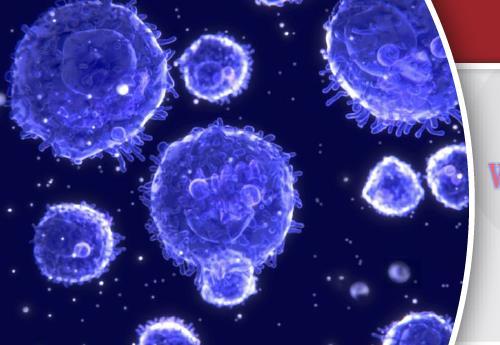 [AME]USCAP Practical Update_s in Lymphoma 2018 (CME VIDEOS)