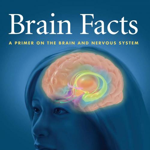 Brain Facts, A Primer on the Brain and Nervous System 6th Edition