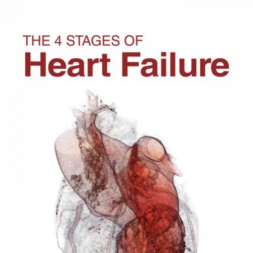 4 Stages of Heart Failure, The - Jaski, Brian